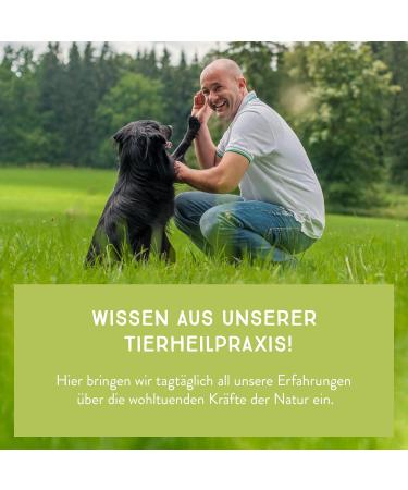 Anicanis Bio Herbal Mix Broncho Vitalis for Dogs - Organic Respiratory & Bronchial Support - 125g Feed Additive - Buy Online on GoSupps.com