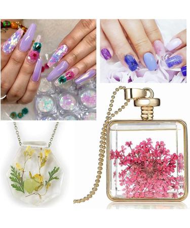 Colorful Resin Dried Flower Nail Art Kit - 60 Pcs 3D Mini Flowers for Nail Accessories, Starry Decals, 12 Colors - 2.8 x 0.75 0.67 inches - Buy Online on GoSupps.com