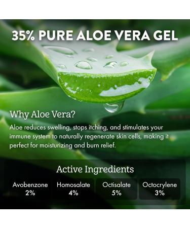 Aloe Up Sport Sunscreen Lotion SPF 15 - Broad Spectrum UVA/UVB Sunscreen Protector for Face and Body - With Hydrating Aloe Vera Gel - Non-Greasy - No White Cast - Reef Safe - Fragrance-Free - 6 Oz 6 Fl Oz (Pack of 1) - Buy Online on GoSupps.com