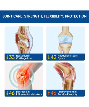 purmeo 5-Day Fast-Acting Joint Health Supplement - Support for Comfort Cartilage Strength & Flexibility - OVOMET Eggshell Membrane Glucosamine Chondroitin MSM & Boswellia - Made in Germany 120ct - Buy Online on GoSupps.com
