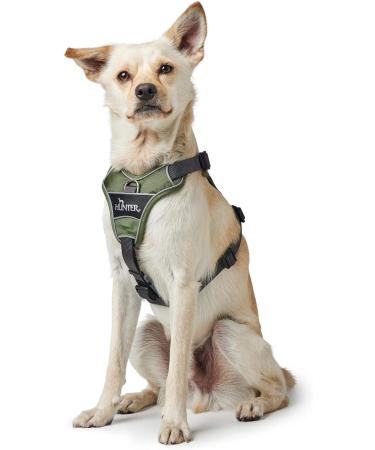 Buy HUNTER DIVO Dog Harness M (56-73 cm) - Green/Grey | International Shipping Available - Buy Online on GoSupps.com