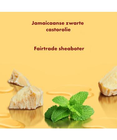 Unilever SheaMoisture Set for curly chemically treated or heatstyled hair Jamaican Black Castor Oil Shampoo 1x384 ml Conditioner 1x384 ml Treatment Mask 1x355 ml LeaveIn Conditioner 1x431 ml - Buy Online on GoSupps.com