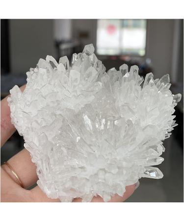 Natural Clear Quartz Crystal Cluster Minerals Reiki Stone Home Furnishing Decoration (Size : 500-600g) - Buy Online on GoSupps.com