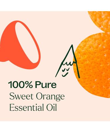 Sweet Orange Essential Oil 100% Pure - Plant Therapy | Natural Aromatherapy Therapeutic Grade 10 mL International Shipping - Buy Online on GoSupps.com