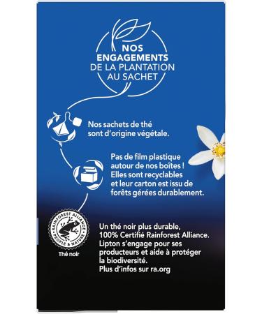 Lipton Th Noir Earl Grey la bergamote d'Italie 20 Sachets Pyramid  - Buy Online on GoSupps.com