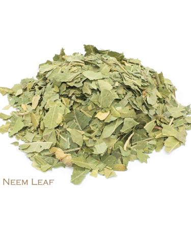 Neem Leaf and Iron Goddess Oolong Tea Herbal Infusion (25 Unbleached Tea Bags - 50g) - Buy Online on GoSupps.com