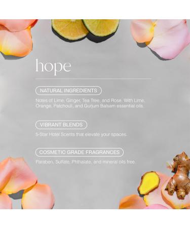 Doctor Aromas Therapeutic Essential Oils Fragrance Scents Bottles Refills Organic Aroma Safe for Diffusers Aromatherapy Lemon Lavender and Other Blends 1 OZ (3-Pack) (Pack of 3 Endless Summer) Endless Summer 1 Fl Oz (P  - Buy Online on GoSupps.com