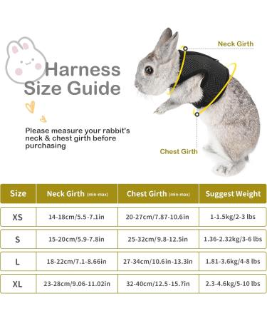 Adjustable Soft Rabbit Dishes with Elastic Leash for Small Pets | Black XS (20-27.5cm) - Best for Kittens & Bunnies - Buy Online on GoSupps.com