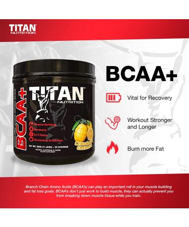 Titan BCAA+ Powder - Vegan Muscle Builder with Glutamine | 50 Servings Watermelon Splash | 2:1:1 BCAA Ratio | Gluten-Free Low-Carb Recovery Supplement - Buy Online on GoSupps.com
