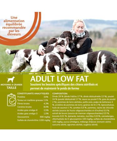 Wellness Core Low Fat Dry Dog Food for Large and Medium Breeds Low in Fat Natural and Grain-Free Turkey 10 kg - Buy Online on GoSupps.com