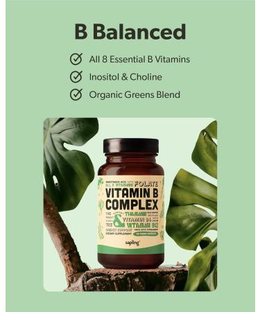 Algae Calcium & Vegan Omega 3 & Vitamin B Complex Bundle - Calcium Supplement from Red Algae Plant Based DHA & EPA Fatty Acids Essential B Vitamins - Buy Online on GoSupps.com