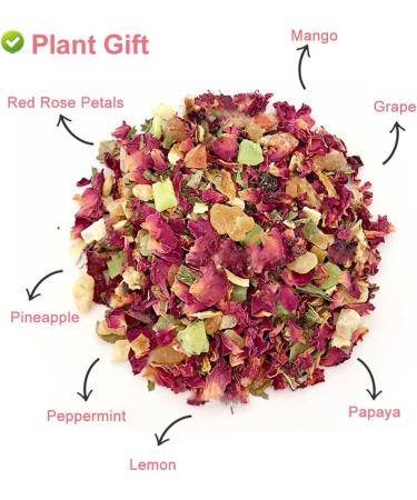 Plant Gift Rose Peppermint Beauty Tea lemon papaya mango pineapple grapes caffeine free loose leaf bulk non GMO hibiscus iced tea tea bags herbal tea health tea 70 g25oz - Buy Online on GoSupps.com
