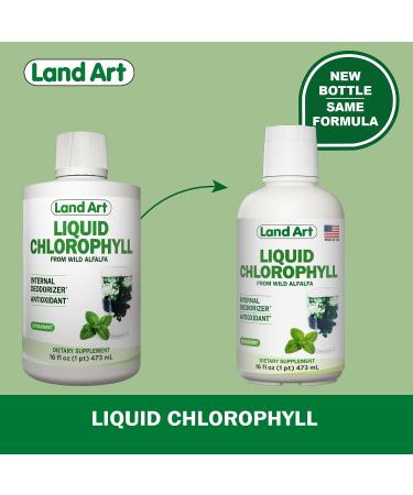 Organic Mint Flavored Liquid Chlorophyll - Cold Extracted from Non-GMO Alfalfa - Natural Body Deodorant and Antioxidant - 16 fl oz - Buy Online on GoSupps.com