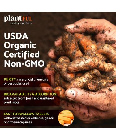 Organic Turmeric Supplement with Black Pepper - USDA Certified, Non-GMO Curcumin 2115mg - Antioxidant Joint & Immune Support - 120 Tablets - Buy Online on GoSupps.com