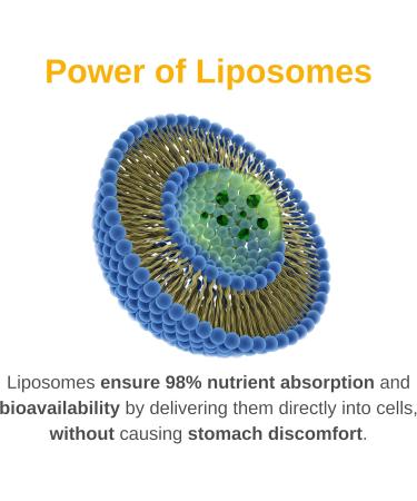 Vitaminally Liposomal Men's Liquid Multivitamin Drops | Non-GMO | Sugar Free | Gluten Free | 30 Day Supply | Supports Immune System Muscle Health Cellular Energy Production - Buy Online on GoSupps.com
