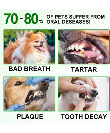 Dental Care Towels for Dogs & Cats | 50-Piece Pet Finger Wipes for Plaque Gum Care & Tartar Removal - Buy Online on GoSupps.com