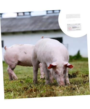 minkissy 6 pcs Early Pregnancy Cow Pregnancy Test Paper Plastic Bands Livestock Pregnancy Diagnosis Tester Pregnancy Test Strip for Pig Pregnancy Test Paper Tool The Cow Whitex3pcs 1 count (Pack of 1) - Buy Online on GoSupps.com