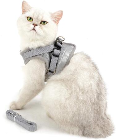 Ranphy Breakproof Cat Dishes with Leash - Durable Stylish & Ideal for International Shipping - Buy Online on GoSupps.com
