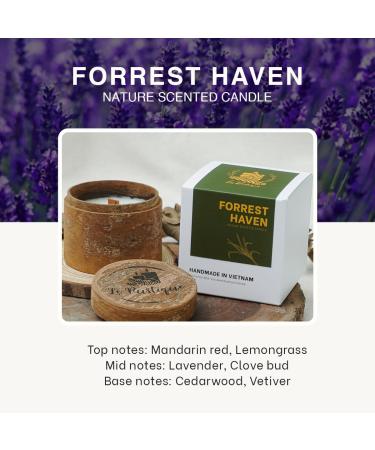 Forrest Haven Aromatherapy Soy Candle - Lavender Cedarwood & Vetiver | 3.2oz - 24-Hour Burn Time | Healing & Relaxation Fall Decor - Buy Online on GoSupps.com