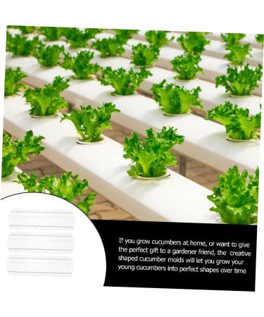FUNOMOCYA 3pcs Cucumber Cucumbers Cucumber Kit Fruit Molds Vegetable Square - Buy Online on GoSupps.com