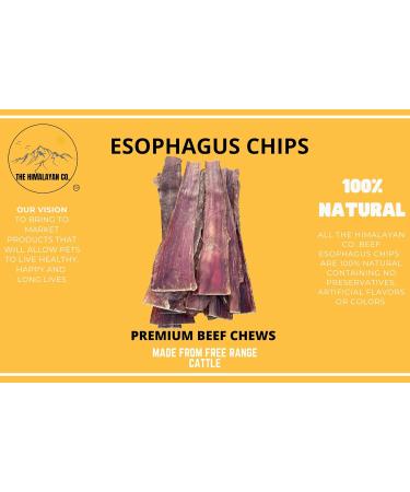 Beef Esophagus Chips for Dogs - Beef Jerky Dog CHEW Treats - (6 INCH 35 Pack Approx. 448 Grams) - Single Ingredient Beef Esophagus - 100% Natural - Rich in GLUCOSAMINE and CHONDROITIN - Buy Online on GoSupps.com