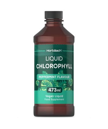 Liquid Chlorophyll Drops for Water 100mg | 473ml | Vegan Supplement | Mint Flavour | by Horbaach - Buy Online on GoSupps.com