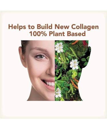 PlantFusion Vegan Collagen Powder - Plant Based Protein for Hair, Skin & Joints, 11.43 oz Vanilla - Buy Online on GoSupps.com