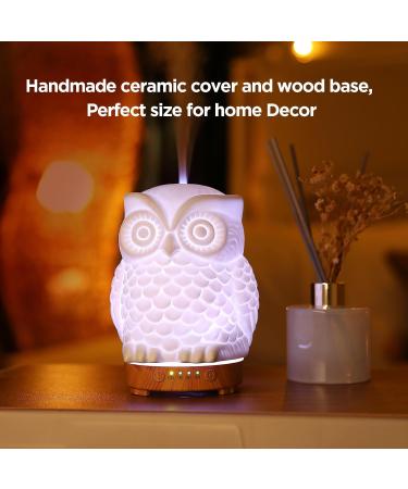 Inrorans 200ml Ceramic Owl Aromatherapy Diffuser | Ultrasonic Cool Fog Essential Oil Humidifier with LED Night Lights - 7 Color Changing - Buy Online on GoSupps.com