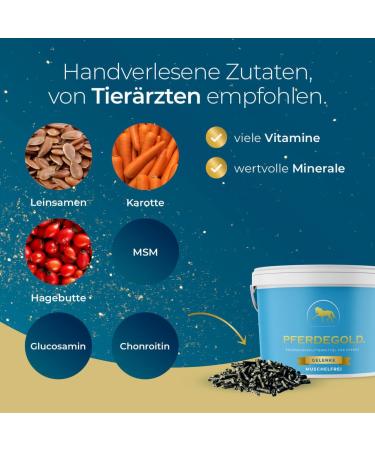 Buy Horse Gold Joint Mussel-Free Pellets - Doping-Free Supplementary Feed for All Breeds - 1.5 kg Bucket - Buy Online on GoSupps.com