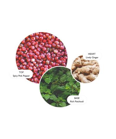 Molton Brown Fiery Pink Pepper Body Lotion Luxurious Hydration for Smooth Skin - Buy Online on GoSupps.com