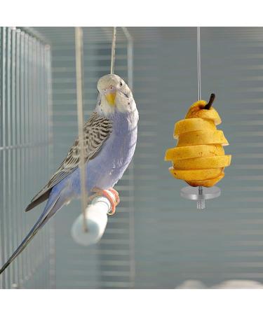 AKlamater Bird Skewer 2Pcs Stainless Steel Bird Food fruit Holder Food Feed Tool Foraging Toy for Parrot Budgie Parakeet Cockatiel Etc - Buy Online on GoSupps.com