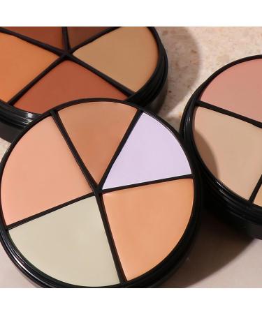 LISE WATIER Portfolio Professional Correctors 4-in-1-Beiges 0.71 oz | Concealer Palette - Buy Online on GoSupps.com