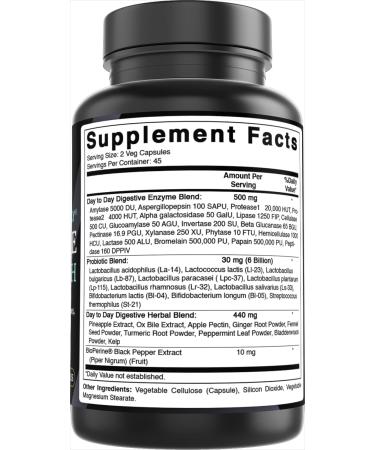 Best Naturals Day-to-Day Digestive Support 90 Veg Capsules - Made with Digestive Enzymes Probiotics & Herbal Blend - Made in The USA - Buy Online on GoSupps.com