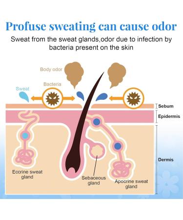  WJnflQN Anti-Perspirant Lotion 60 ml Make-Up Sweat Resistant Body Care for Armpits Scalp Hands Feet Daily Travel Sports Outdoor Training - Buy Online on GoSupps.com