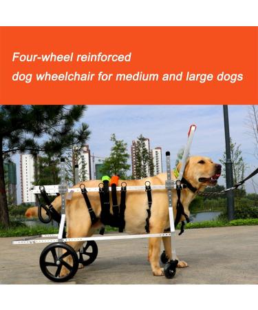 Dog Wheelchair 4 Wheel Pet Wheelchair Small Dog Carts with Wheels for Back Legs Disability Paralysis Injury Hindlimb Weakness Pet Easy Assemble (Size : M) Medium - Buy Online on GoSupps.com