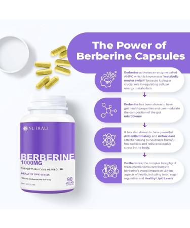 New Berberine MAXIMUM POTENCY 1000mg per Serving (2 capsules 500mg each) Supports Blood Sugar Levels Healthy Lipid (Fat) and Glucose Metabolism. Non-GMO Vegan Gluten Free. 90 Easy to Swallow Capsules- 2 pack 90 count (Pack of 2) - Buy Online on GoSupps.com