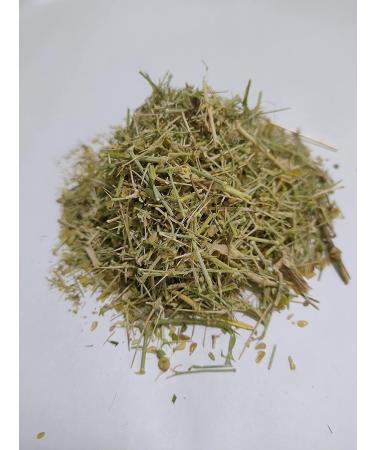 DX Exhaustion Bunti Fagonia Indica Exhaustion Desert Fagonia 400 g - Buy Online on GoSupps.com