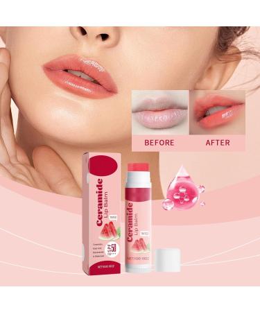 Anti-Dryness Lip Care Lip Care Nourishes lips with effective sunscreen and gentle ingredients Repairing Lip Balm - Buy Online on GoSupps.com
