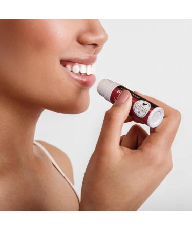 Dionis Goat Milk Lip Balm Sweet Berry 0.28oz (Pack of 6) - Buy Online on GoSupps.com