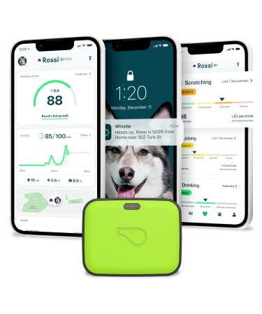 Whistle GPS + Health + Fitness - Ultimate Dog GPS Tracker Plus Dog Health & Fitness Monitor, Waterproof, Safe Place Escape Alerts, Built-in Night Light,Fits on Dog Collar, GO Explore Green