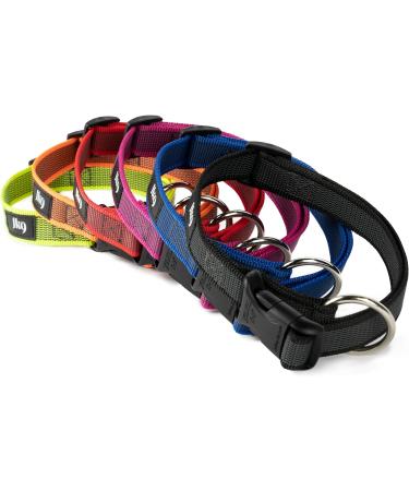 Julius-K9 225CG-OR Color & Gray Collar - 25mm (39-65 cm) Orange-Gray | International Shipping Available - Buy Online on GoSupps.com