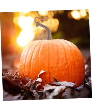 ABOOFAN 200 Pcs Pumpkin Put Pumpkin Stems Fake Plastic Pumpkin Head Pumpkin Ornament Halloween Pumpkin Stems Pumpkin Diy Handle Lantern Decor Plastic Pumpkin Handle Accessories Artificial - Buy Online on GoSupps.com