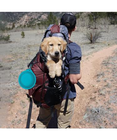SLSON 2-Part Foldable Dog Bowls - Travel & Camping 600ml Lightweight Plastic for Dogs & Cats | Blue & Green - Buy Online on GoSupps.com