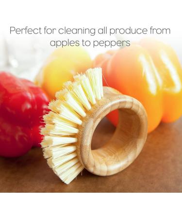 Full Circle The Ring Fruit and Vegetable 2 in 1 Fruit & Vegetable Cleaning Brush  Small (Pack of 1)  White - Buy Online on GoSupps.com