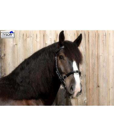 Buy Tysons Breeches Cavesson Leather - Extra Large Coldblood X-Full XX Full with Bit Attachment | Premium Quality Horse Tack - Buy Online on GoSupps.com