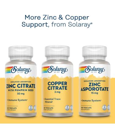 Solaray Zinc + Copper Amino Acid Chelate Vcapsules 100 Count - Unflavored (Pack of 1) - Buy Online on GoSupps.com