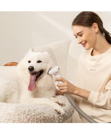 Afloia Dog Grooming Kit - Best Deshedding Tool for All Breeds | International Shipping Available - Buy Online on GoSupps.com