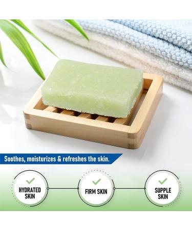 T.Taio Esponjabon Soap Sponge | Cleansing Shower Scrubber | Bath Wash Scrub | Oil Removal | Massage & Lather | Cucumber & Melon Soap - Buy Online on GoSupps.com