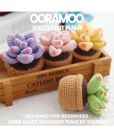 4Pcs Succulents Crochet Kit for Beginners - Complete Adult Crocheting Starter Set with Video Tutorials - Buy Online on GoSupps.com
