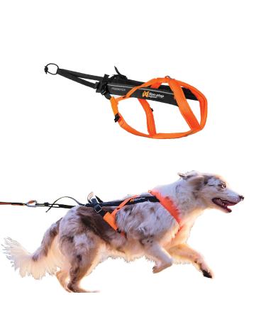 Non-stop dogwear Freemotion Harness 5.0 | Dog harness for all sports size: size 6 black/orange 6 - Buy Online on GoSupps.com